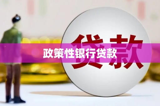 叠彩政策性银行贷款