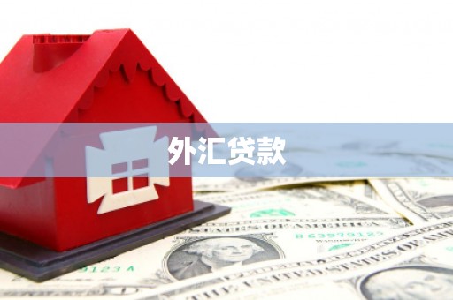 叠彩外汇贷款