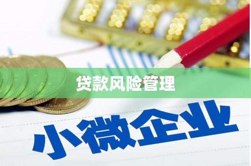 叠彩贷款风险管理