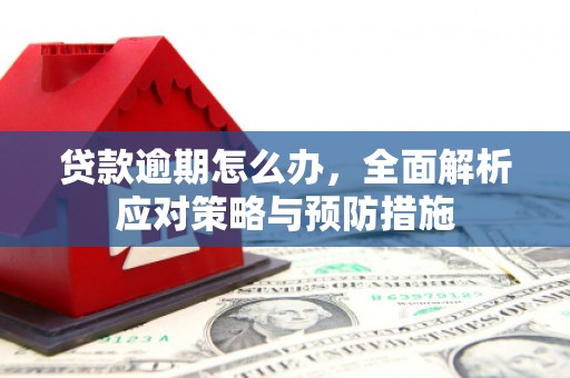 叠彩贷款逾期怎么办，全面解析应对策略与预防措施