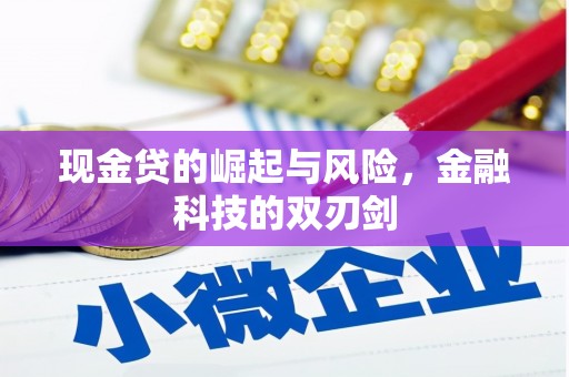 叠彩现金贷的崛起与风险，金融科技的双刃剑