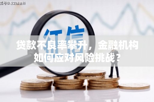 叠彩贷款不良率攀升，金融机构如何应对风险挑战？