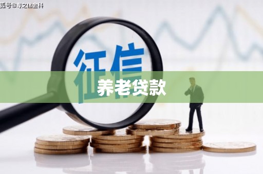 叠彩养老贷款