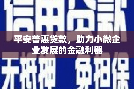 叠彩平安普惠贷款，助力小微企业发展的金融利器