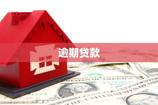 叠彩逾期贷款